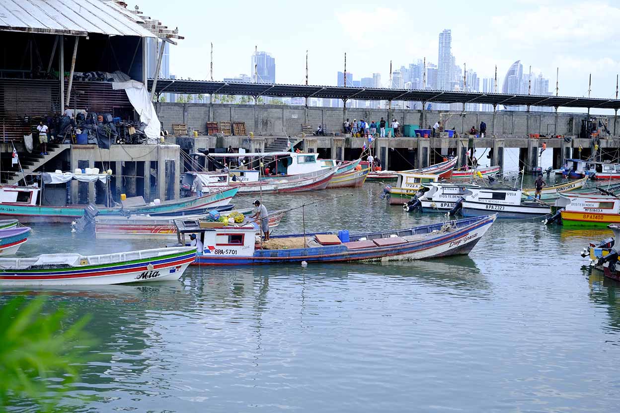 FIsh Market panama city